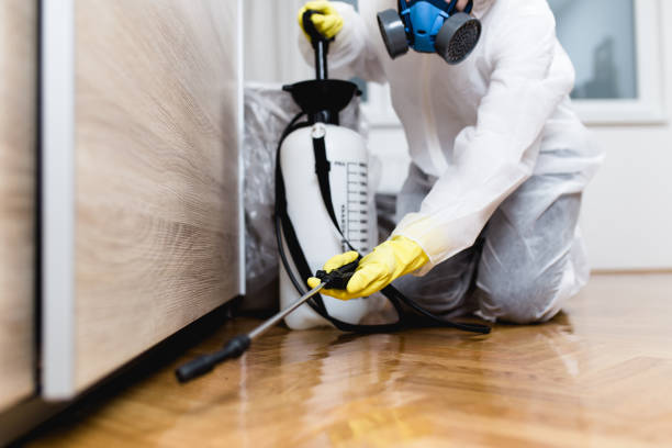 Best Best Pest Control Companies  in Independence, VA