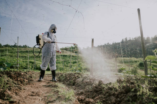 Pest Control Cost in Independence, VA