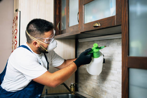 Best Affordable Pest Control Services  in Independence, VA