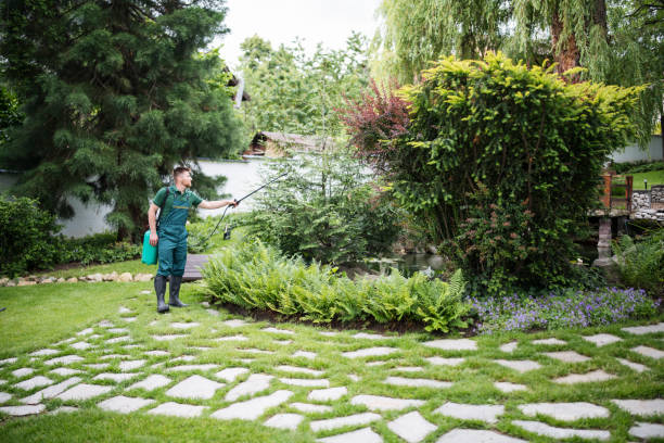 Best Pest Control Cost  in Independence, VA